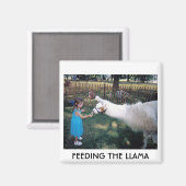 FÜTTRE DER LLAMA MAGNET (Vorderseite/Rückseite)