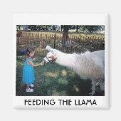 FÜTTRE DER LLAMA MAGNET (Vorne)