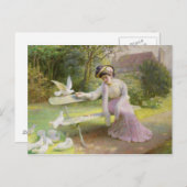 Füttre der Tauben Postkarte (Vorne/Hinten)