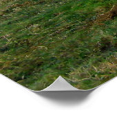 Füttre der Zeit für die Kuh von Guernsey Poster (Ecke)