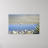 Füttre der Zeit für Royal Spoonbill Leinwanddruck (Vorderseite)