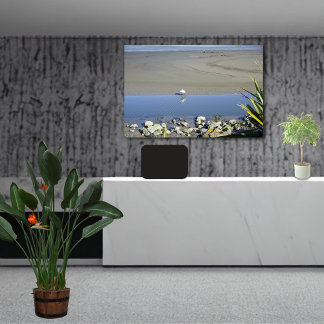 Füttre der Zeit für Royal Spoonbill Leinwanddruck