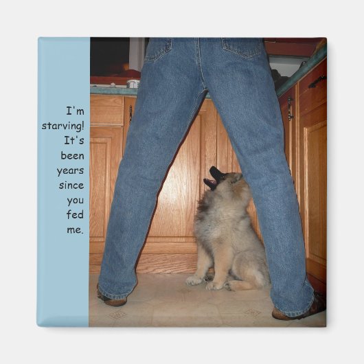 Füttre des Magazins "hungernder Hund" Magnet (Vorne)