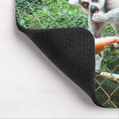 Füttre einer Ringschwanzlemmur Mousepad (Ecke)