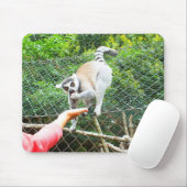 Füttre einer Ringschwanzlemmur Mousepad (Mit Mouse)