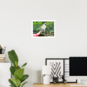 Füttre einer Ringschwanzlemmur Poster (Heimbüro)