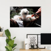 Füttre eines Eagle Owl Küken Poster (Heimbüro)