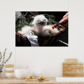 Füttre eines Eagle Owl Küken Poster (Küche)