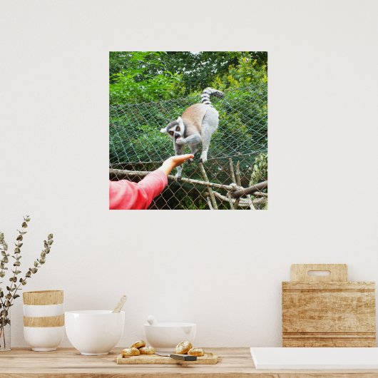 Füttre eines Lemur Poster (Küche)