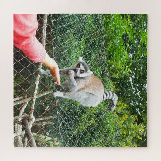 Füttre eines Lemur Puzzle (Horizontal)