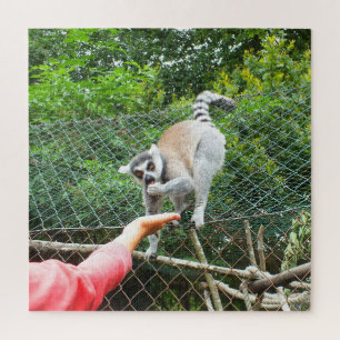 Füttre eines Lemur Puzzle