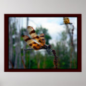 FÜTTRE II POSTER (Vorne)