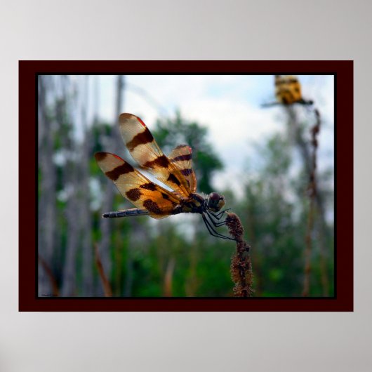 FÜTTRE II POSTER (Vorne)