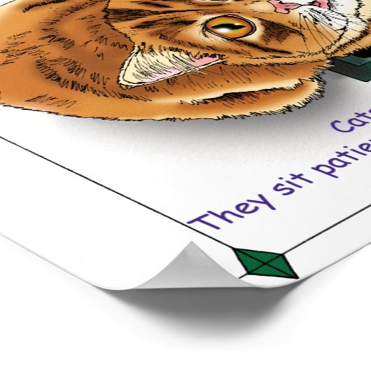 Füttre Me Cat Poster (Ecke)