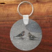 Füttre Me Chaffinch Schlüsselanhänger (Vorderseite)