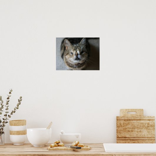 "Füttre Me" Quasi Poster (Küche)