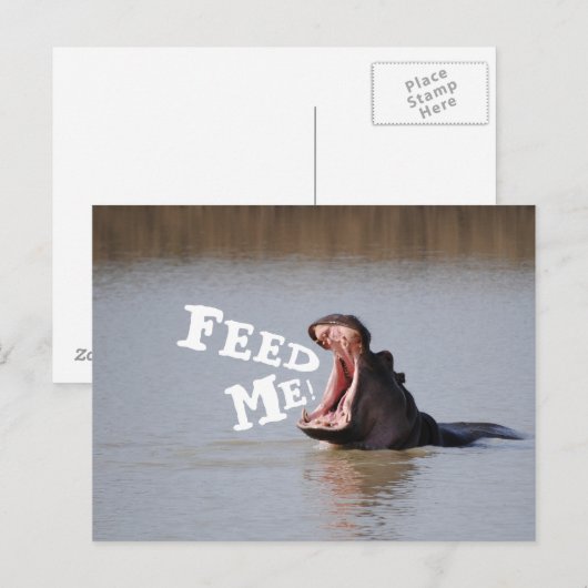 Füttre mir! Funny Hippo Postkarte (Vorne/Hinten)