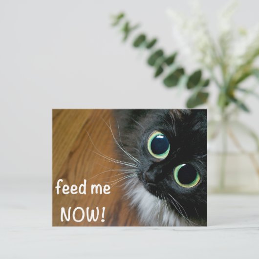 füttre mir JETZT! Postkarte (Stehend Vorderseite)