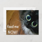 füttre mir JETZT! Postkarte (Vorne/Hinten)