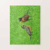 Füttre mir puzzle (Vertikal)