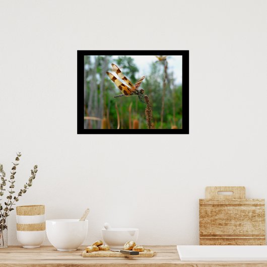 Füttre Poster (Küche)