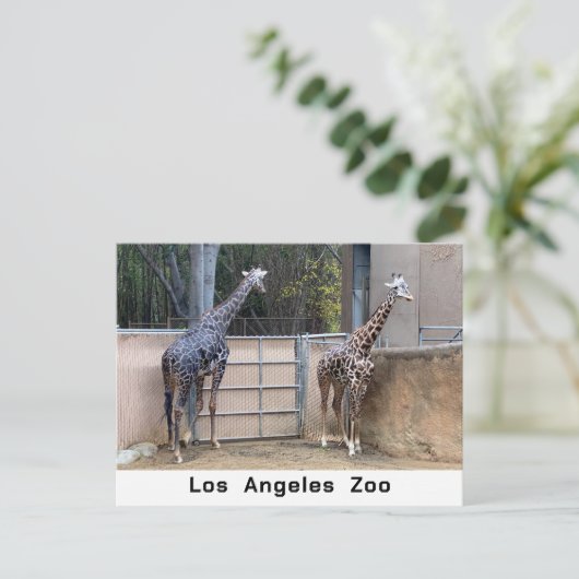 Füttre Postkarte (Stehend Vorderseite)