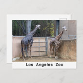 Füttre Postkarte (Vorne/Hinten)