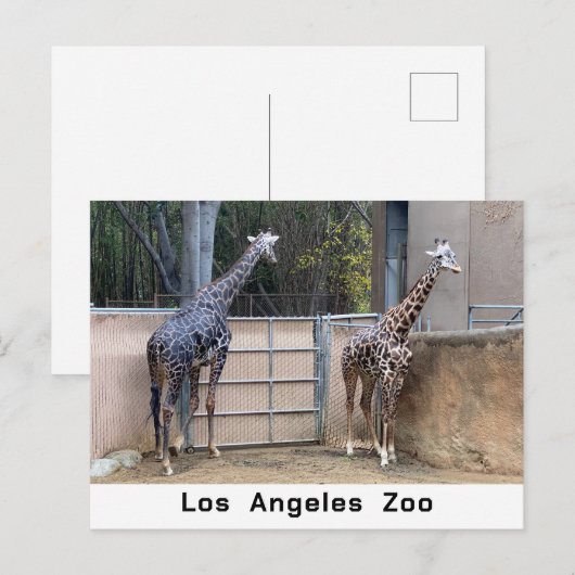 Füttre Postkarte (Vorne/Hinten)