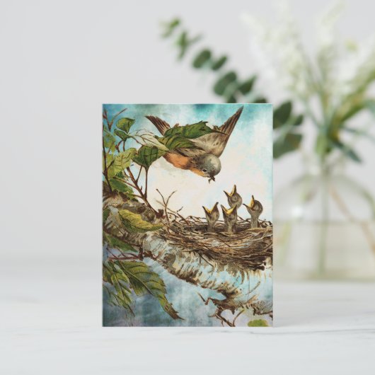 FÜTTRE POSTKARTE (Stehend Vorderseite)