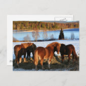 Füttre Postkarte (Vorne/Hinten)