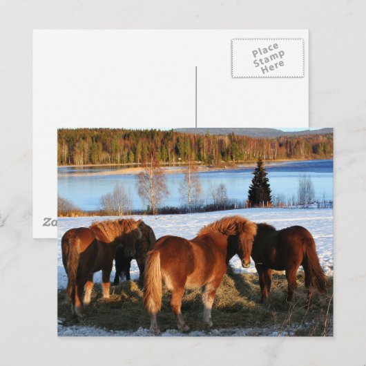 Füttre Postkarte (Vorne/Hinten)