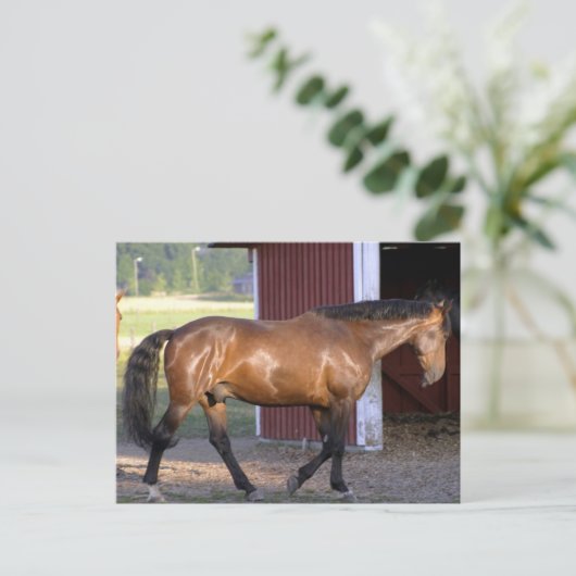 Füttre Postkarte (Stehend Vorderseite)