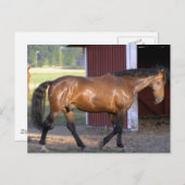 Füttre Postkarte (Vorne/Hinten)