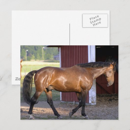 Füttre Postkarte (Vorne/Hinten)