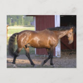 Füttre Postkarte (Vorderseite)