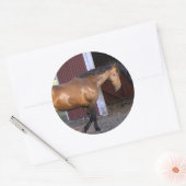 Füttre Runder Aufkleber (Umschlag)