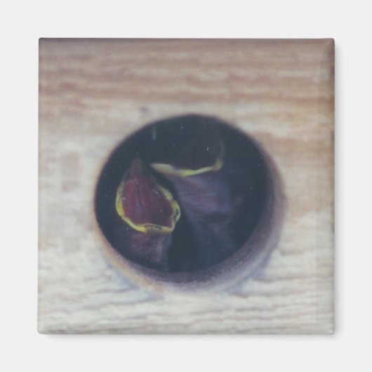 FÜTTRE uns! -Magnet Magnet (Vorne)