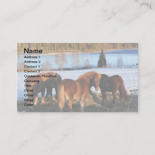 Füttre Visitenkarte