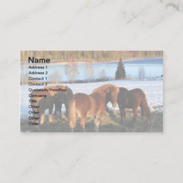 Füttre Visitenkarte