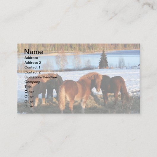 Füttre Visitenkarte (Vorderseite)