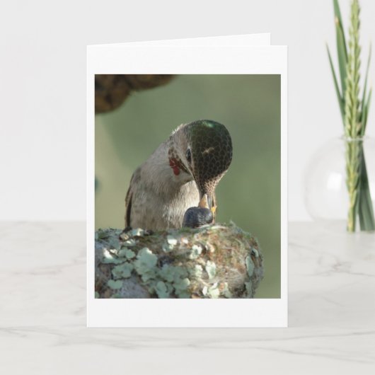 Füttre von Hummingbird Karte (Vorderseite)
