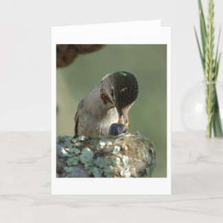 Füttre von Hummingbird Karte