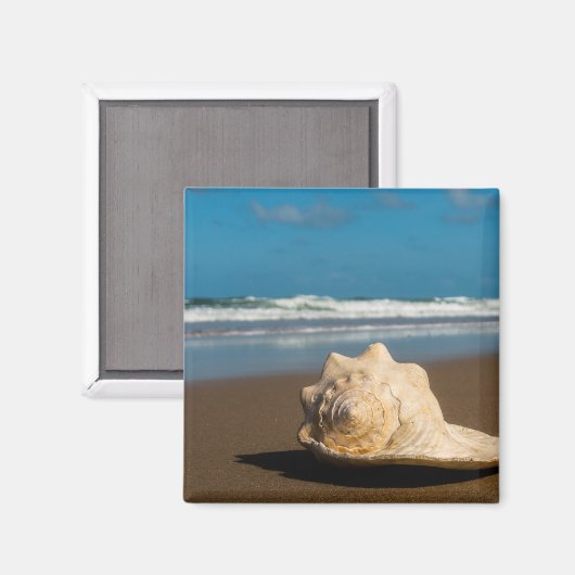 Future Beach Magnet (Vorderseite/Rückseite)