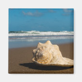 Future Beach Magnet (Vorne)