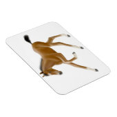 Future Champion Bay Foal Premium Magnet (Rechte Seite)