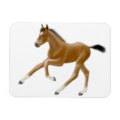 Future Champion Bay Foal Premium Magnet (Horizontal)