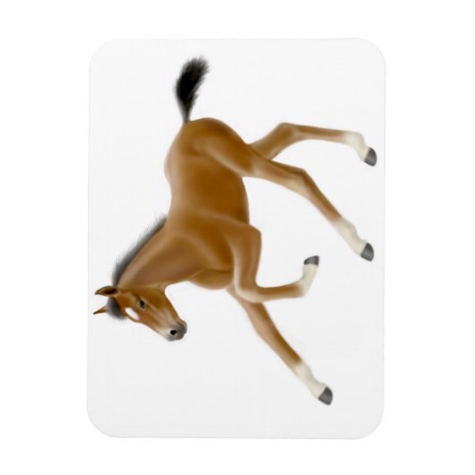 Future Champion Bay Foal Premium Magnet (Vertikal)