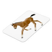 Future Champion Bay Foal Premium Magnet (Linke Seite)