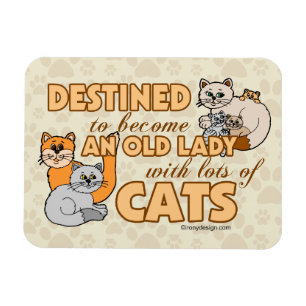 Future Crazy Cat Lady Funny Sprichwort Design Magnet