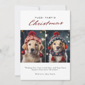 Fuzz-Tastic | Fotomaterial für Weihnachten (Vorderseite)